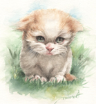 炵ȎqL̖ځ|L̐ʉ-cat-watercolor