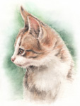 ɒڂL̖ځ|L̐ʉ-cat-watercolor