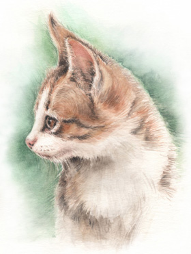 ɒڂL̖ځ|L̐ʉ-cat-watercolor