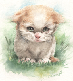 炵ȎqL̖ځ|L̐ʉ-cat-watercolor