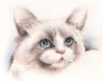 ʂ݂̗lȃOh[@L̊G@L̏ёEG@pXe@pastel-cat-1