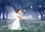 X̒̓VgƗd̊G@cg-fantasy Fairy and angel in the forest