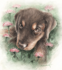 ̍lƂq̖ڐ-q̐ʉ-astragalus-sinicus-dog-watercolor