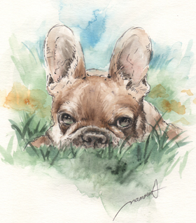 ̒̒F̃{XgeA@̎GEё@yʃXPb`boston-terrier-pen-watercolor-sketch