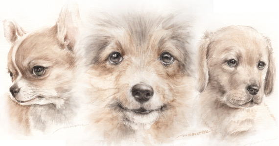 愛おしいペットや人物の肖像画 似顔絵のサイト アトリエ メビウス 犬のギャラリー