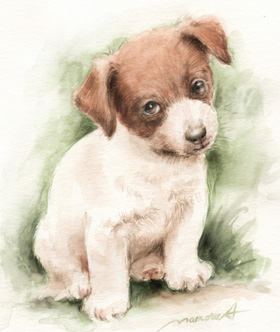 𗧂ĂWbNbZeA@̊G@ʉ@watercolor-jack-russell-terrier-dog-18-p-image