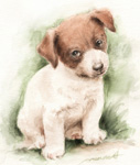 𗧂ĂWbNbZeA@̊G@ʉ@watercolor-jack-russell-terrier-dog-18-p-image