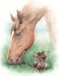 ̔nƌ̊G ʉ@watercolor-horse-dog-other-9