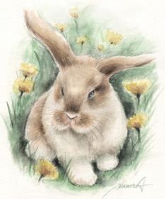 ĈETM̊G|ʉ-rabbit-watercolor