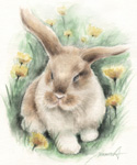 CȃETM@GEё-ʉ@rabbit-watercolor