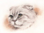 ドラえもんの様な猫の絵 パステル画・似顔絵・肖像画 pastel-cat ドラえもんの様な猫の絵 パステル画・似顔絵・肖像画 pastel-cat